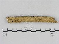 登錄號:F0007749藏品圖，第1張