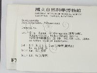 栓菌屬藏品圖，第2張