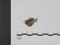 登錄號:F0007752藏品圖，第3張