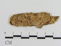 登錄號:F0007753藏品圖，第1張