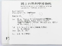 登錄號:F0007754藏品圖，第2張