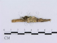 登錄號:F0007755藏品圖，第1張