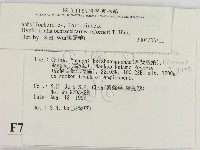 登錄號:F0007758藏品圖，第2張