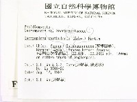 登錄號:F0007759藏品圖，第2張