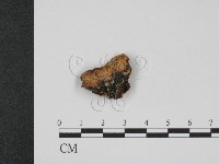 登錄號:F0007762藏品圖，第1張