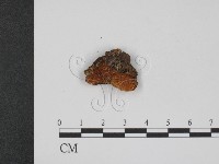 登錄號:F0007762藏品圖，第3張