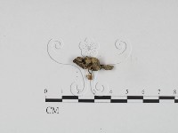 登錄號:F0007763藏品圖，第3張