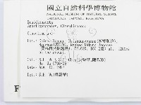 登錄號:F0007764藏品圖，第2張