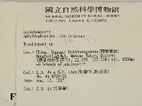 登錄號:F0007765藏品圖，第2張
