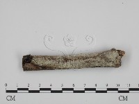 登錄號:F0007765藏品圖，第1張
