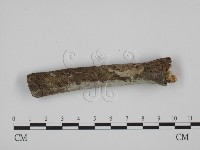 登錄號:F0007765藏品圖，第3張