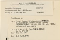 登錄號:F0007765藏品圖，第4張