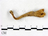 登錄號:F0007766藏品圖，第1張