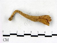 登錄號:F0007766藏品圖，第3張