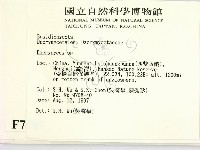 花耳屬藏品圖，第2張