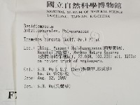 登錄號:F0007769藏品圖，第2張