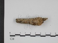登錄號:F0007773藏品圖，第3張