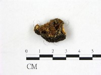 登錄號:F0007775藏品圖，第3張