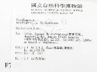登錄號:F0007778藏品圖，第2張