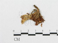 登錄號:F0007781藏品圖，第3張