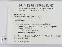 絲齒菌屬藏品圖，第2張