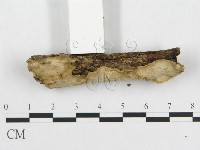 登錄號:F0007787藏品圖，第3張