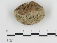 登錄號:F0007791藏品圖，第3張