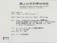 登錄號:F0007792藏品圖，第2張