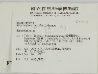 絲齒菌屬藏品圖，第2張