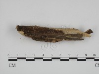 登錄號:F0007796藏品圖，第3張