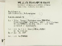 登錄號:F0007797藏品圖，第2張