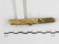 登錄號:F0007797藏品圖，第1張