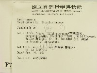 登錄號:F0007798藏品圖，第2張