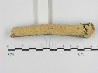 登錄號:F0007798藏品圖，第1張