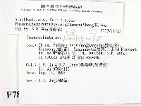 登錄號:F0007802藏品圖，第2張