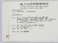 小孔菌屬藏品圖，第2張