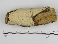 登錄號:F0007804藏品圖，第1張