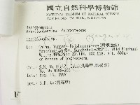 蜂窩菌屬藏品圖，第2張