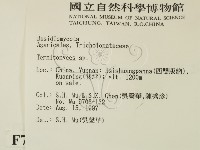 登錄號:F0007807藏品圖，第2張