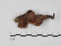 登錄號:F0007807藏品圖，第3張