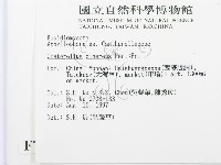 登錄號:F0007808藏品圖，第2張