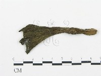 登錄號:F0007808藏品圖，第3張