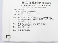 登錄號:F0007809藏品圖，第2張