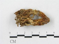 登錄號:F0007809藏品圖，第3張