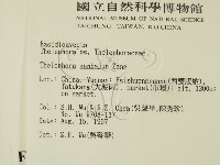 登錄號:F0007811藏品圖，第2張
