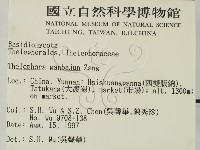 登錄號:F0007812藏品圖，第2張