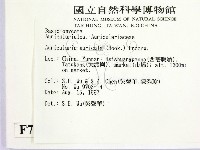登錄號:F0007813藏品圖，第2張