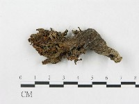 登錄號:F0007815藏品圖，第1張