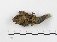 登錄號:F0007815藏品圖，第3張
