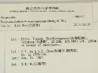 登錄號:F0007817藏品圖，第2張